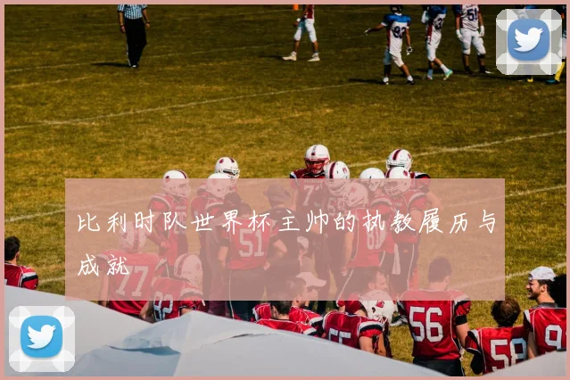 比利时队世界杯主帅的执教履历与成就
